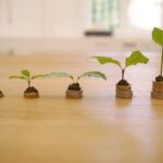 CAR LOAN REQUIREMENT, RATES AND REPAYMENT OPTIONS