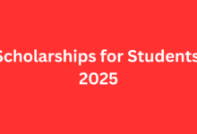 School Education department Teacher Rationalization Policy 2024 1 1