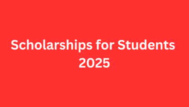 School Education department Teacher Rationalization Policy 2024 1 1