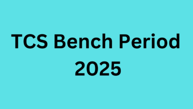 School Education department Teacher Rationalization Policy 2024 13