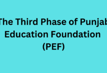School Education department Teacher Rationalization Policy 2024 9 1