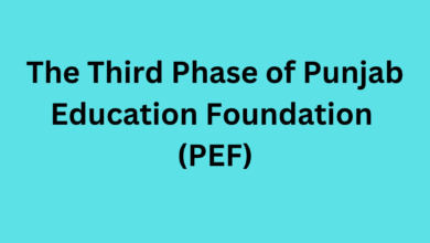 School Education department Teacher Rationalization Policy 2024 9 1
